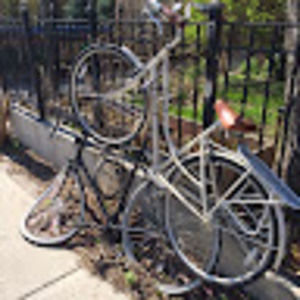 Meet your Posher, Ted